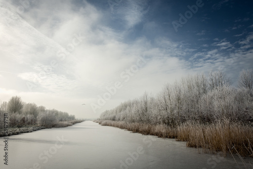 Winter landscape in Zoetermeer, Netherlands (balijbos)
