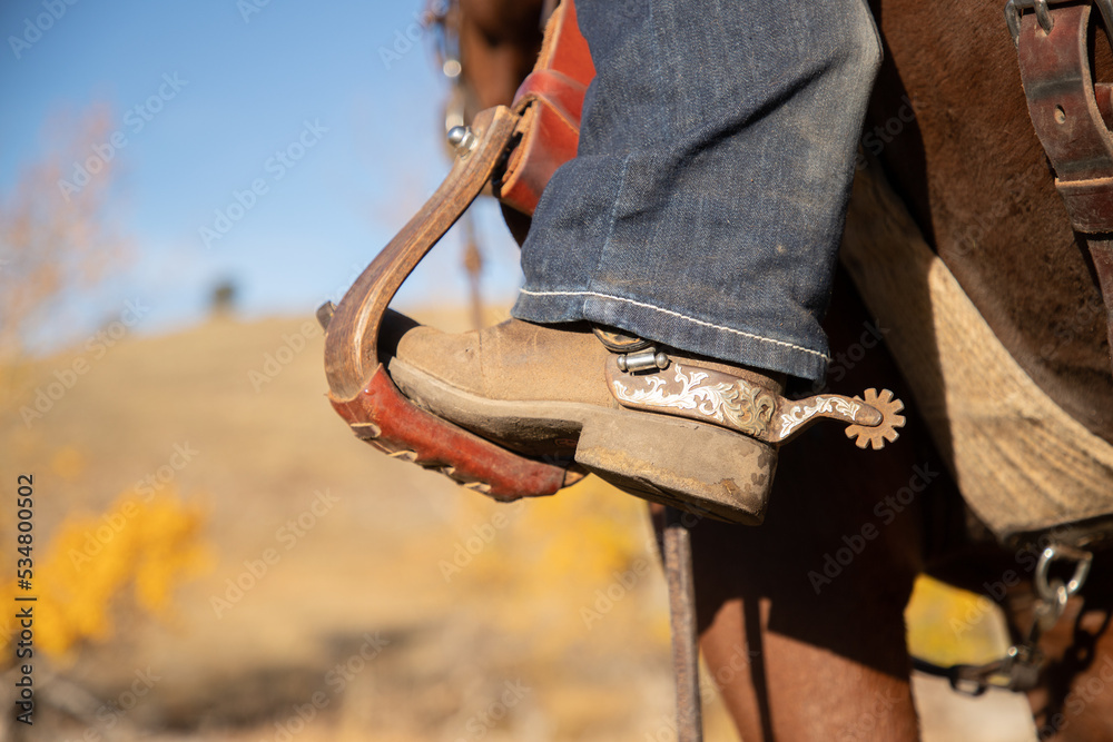 Fotografie Western boot and spur in a stirrup.
