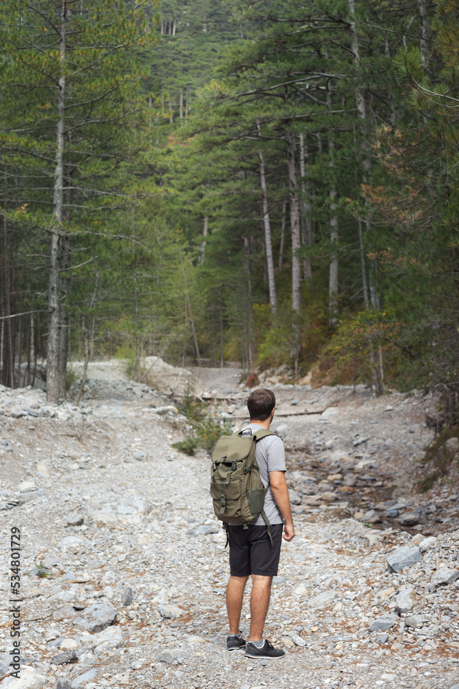 Man from behind hiking with backpack in forest near the river Man from behind hiking with backpack in forest near the river