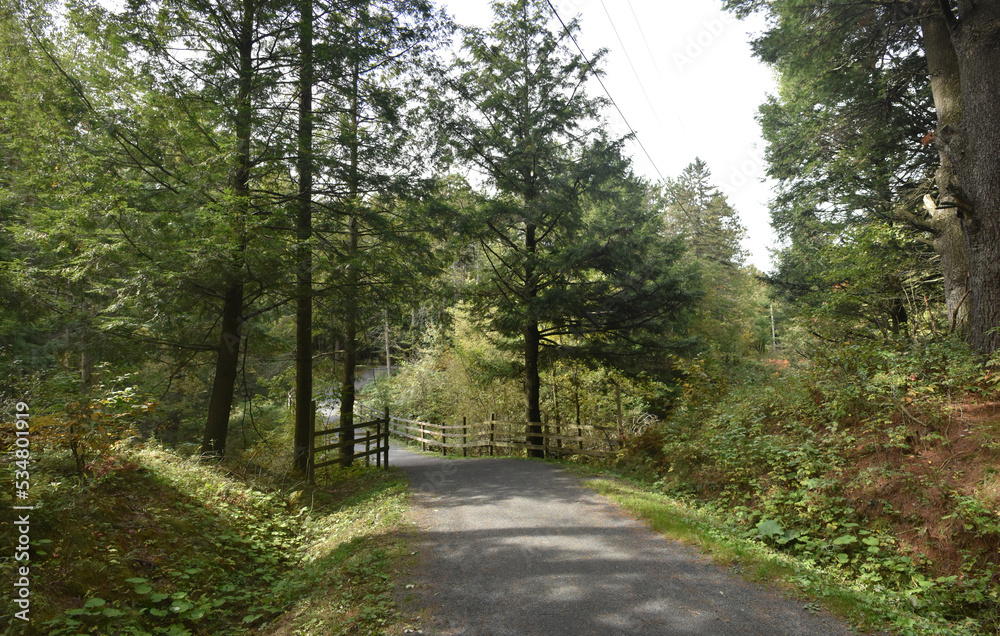 Obraz premium La Plaine 1 Octobre 2022