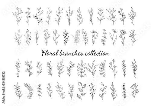 Set of botanical line art floral leaves, plants. Hand drawn sketch branches isolated on white background. Vector illustration  © Anastasia