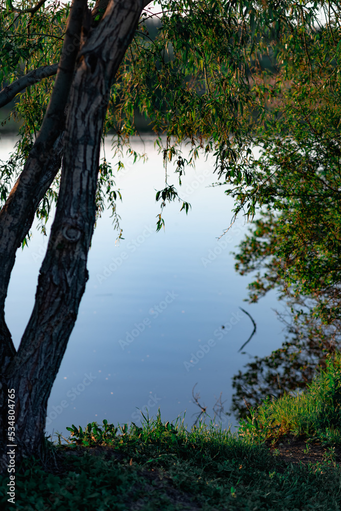 Fototapeta premium Calm water surface, calm weather on the river, quiet rest by the lake in nature among trees and vegetation