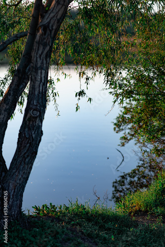 Calm water surface, calm weather on the river, quiet rest by the lake in nature among trees and vegetation