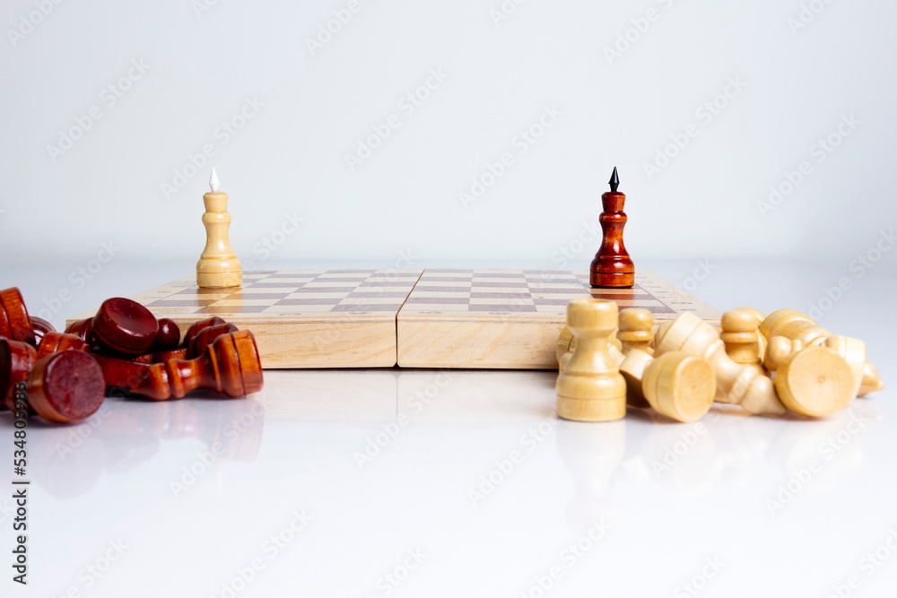 Chess game. Only two chess King stayed on chessboard. Chess game over.