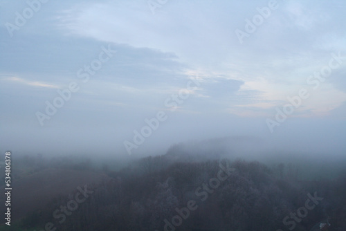 Scenic view over foggy forest