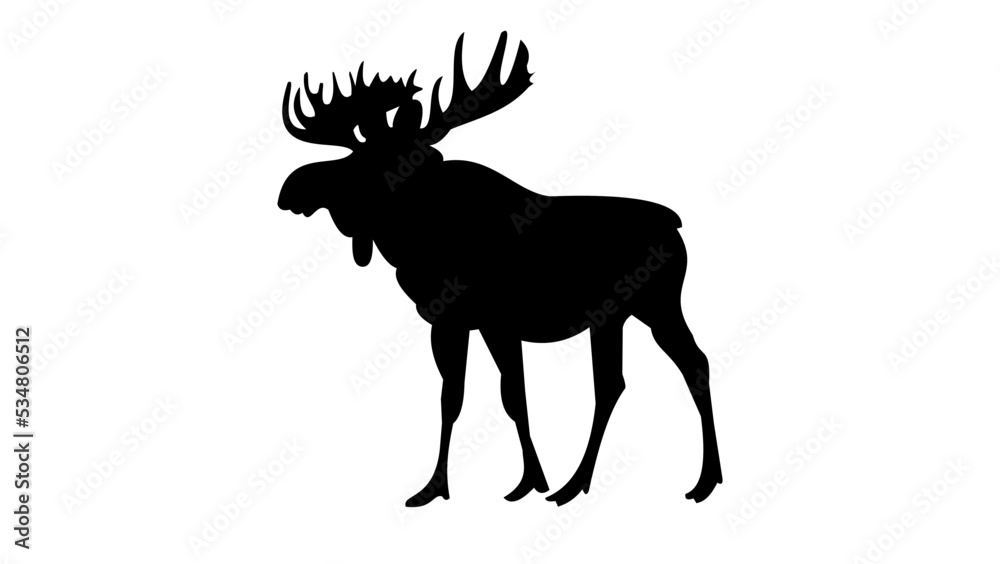 Fototapeta premium elk silhouette