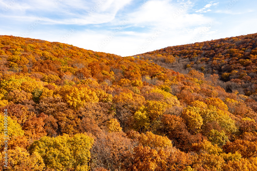 Obraz premium Peak Foliage - New Jersey