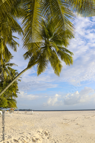 Fototapeta Naklejka Na Ścianę i Meble -  View of palm trees on the beach on a resort island in the Maldives