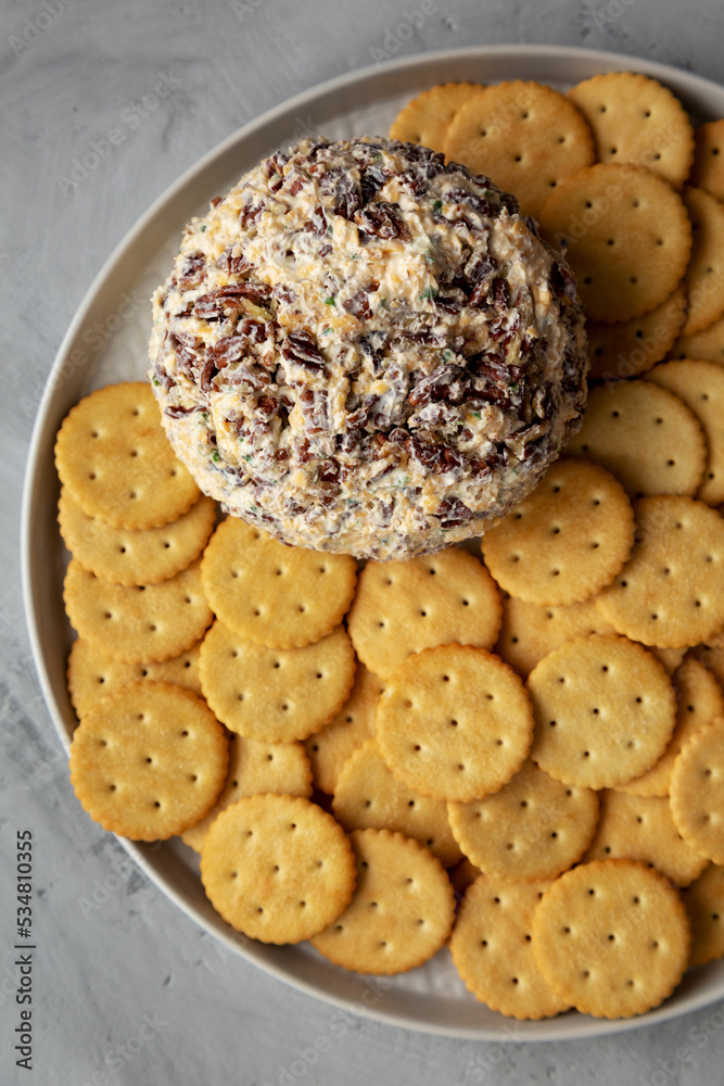 Homemade Cheese Ball with Cream Cheese and Green Onions on a Plate, top view. Flat lay, overhead, from above. Homemade Cheese Ball with Cream Cheese and Green Onions on a Plate, top view. Flat lay, overhead, from above.