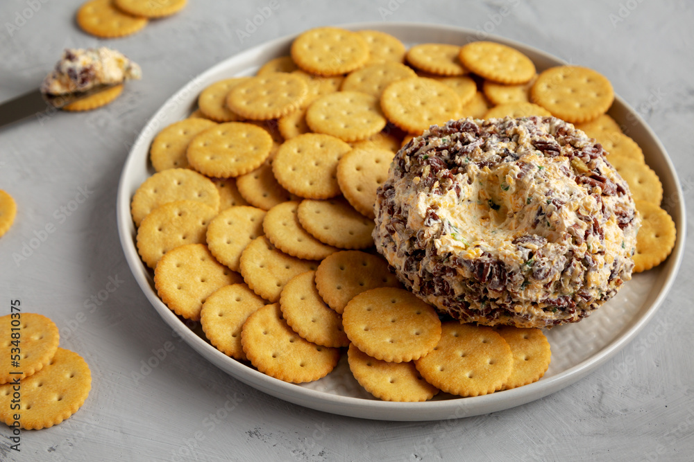Homemade Cheese Ball with Cream Cheese and Green Onions on a Plate, side view.