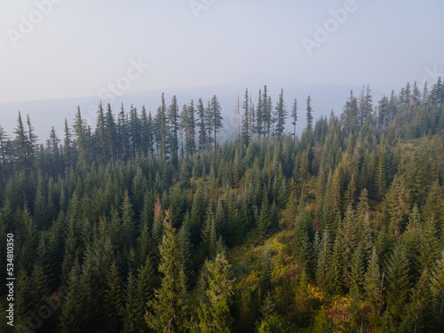 Drone View of Pine Forest in Central Oregon with Wildfire Smoke