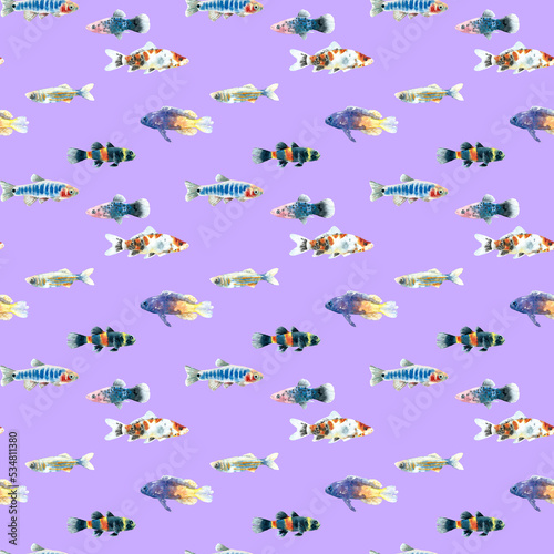 Wallpaper Mural Watercolor lilac  aquarium fishes seamless pattern illustration, colorful animal, sea, lake clipart, Nautical, ocean drawing, nursery hand-painted fish design, fabric,gift wrap,scrapbooking,wallpaper Torontodigital.ca