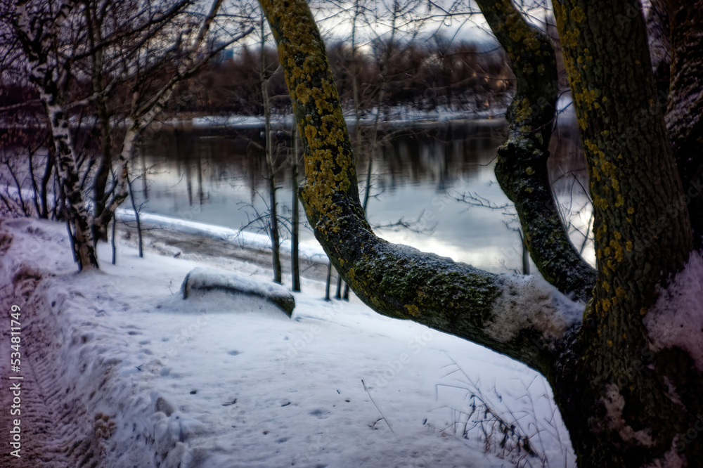 Fototapeta premium the bank of a small river in spring