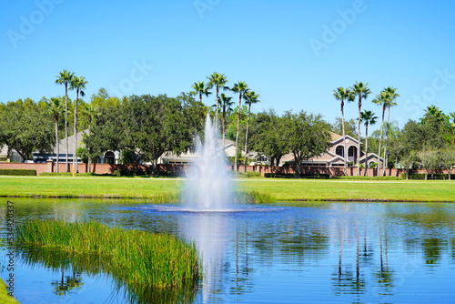 A typical Florida community pond or lake