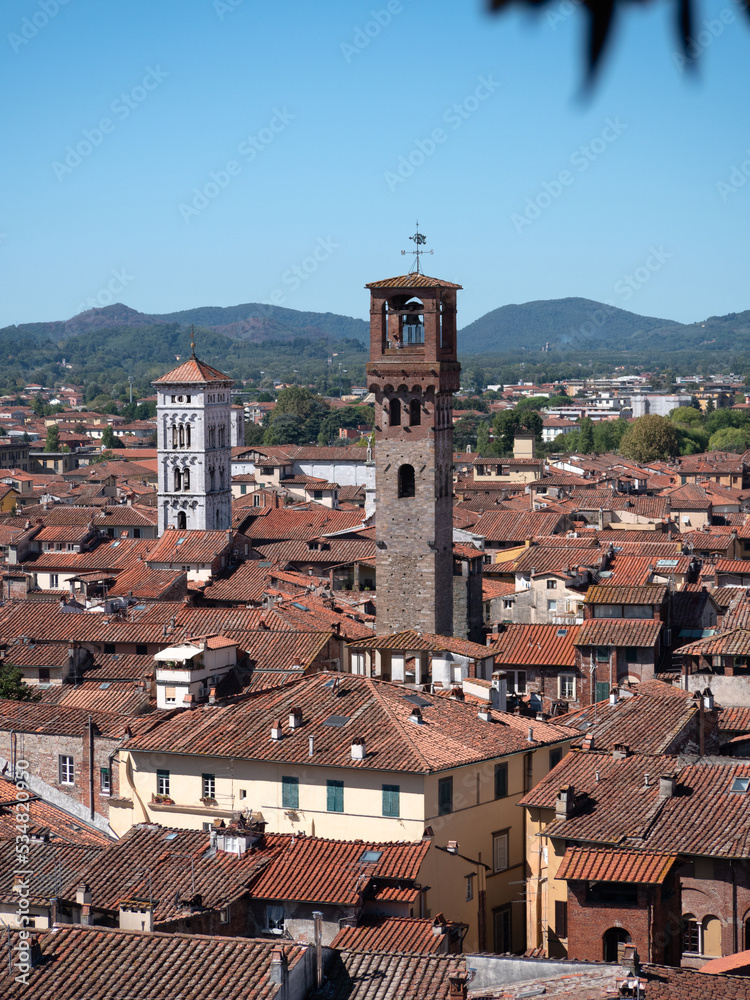 panorama della città di Lucca visto dalla Torre di Guinigi, sulla quale si trova un meraviglioso giardino pensile.