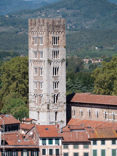 Cuadro en lienzo panorama della città di Lucca visto dalla Torre di Guinigi, sulla quale si trova un meraviglioso giardino pensile