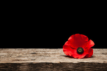 Poppy pin for Remembrance Day. Poppy flower on old beautiful high grain, detailed wood on black background.