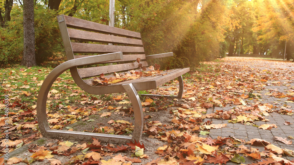 a bench in the autumn park lit by the soft rays of the sun
ławka w jesiennym parku oświetlona delikatnymi promieniami słońca - obrazy, fototapety, plakaty 