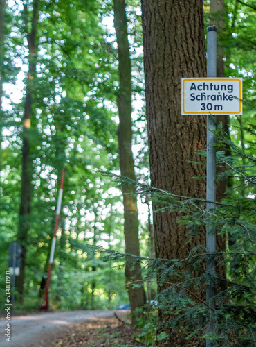 Mischwald in Baden-Württemberg © focus finder