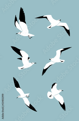 Seagulls set, Birds in sky flying, Seamless pattern