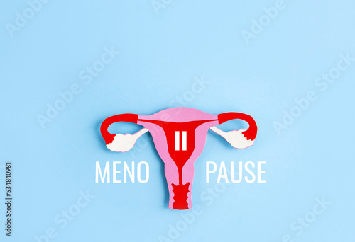 Paper application of the uterus from colored cardboard and word Menopause on blue background. Women's health, gynecology and reproductive system concept. Top view, copy space photo