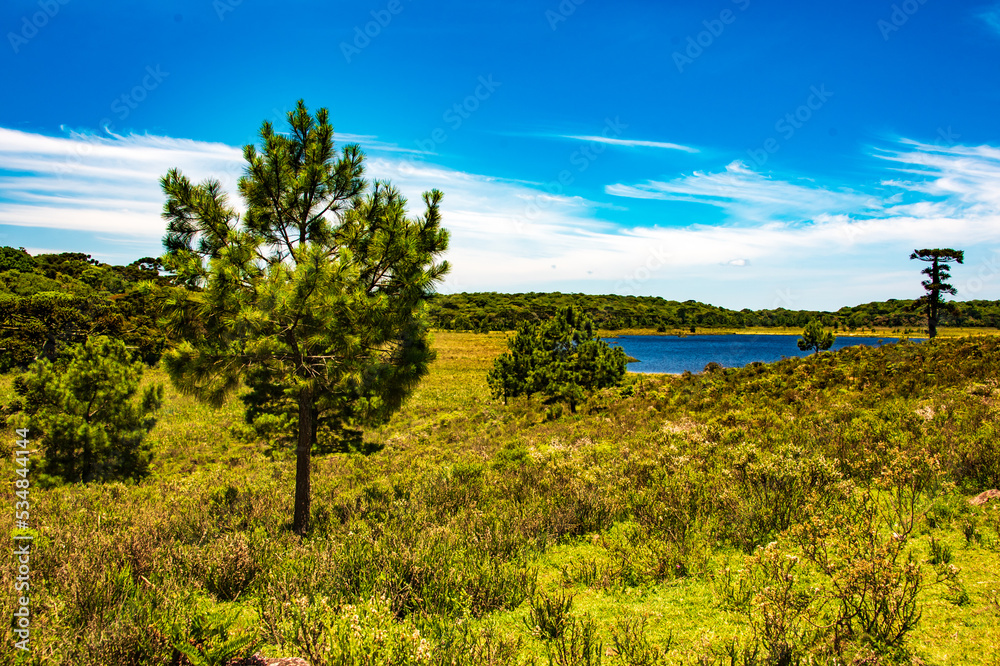 Naklejka premium Landscape Brazil