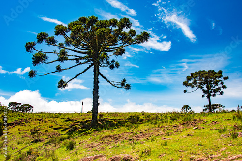 Landscape Brazil