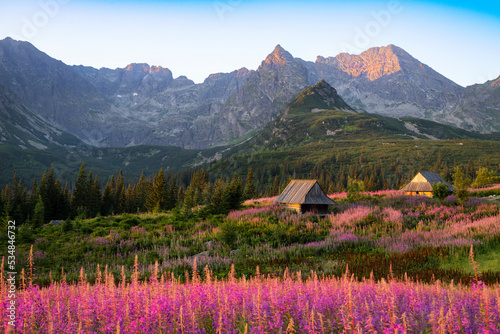 Fototapeta Naklejka Na Ścianę i Meble -  Beautiful summer morning in the mountains - Hala Gasienicowa in Poland - Tatras