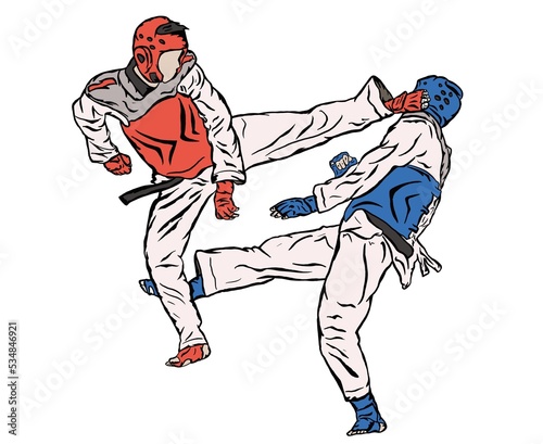 Taekwondo fighter illustration 