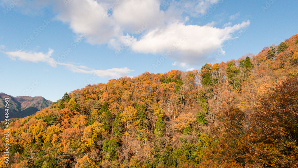 青空と紅葉　日本の秋の季節背景