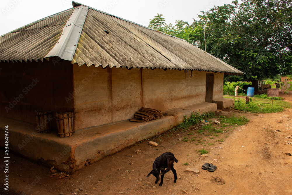 Fototapeta premium The houses in a tribal village of Bengal in India is made out of mud and are beautifully decorated paint with colours.