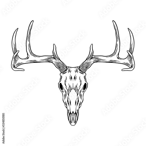 deer head skull vector art