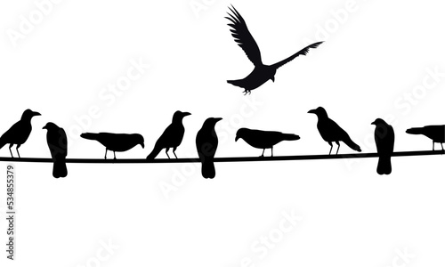 Silhouette of a group of crows perched on a cable. Isolated on a white background. Great for helloween posters. Vector illustration