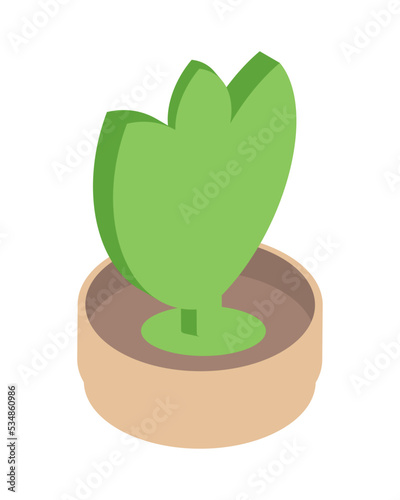 plant sustainable living