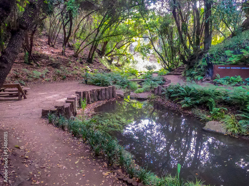 wetland