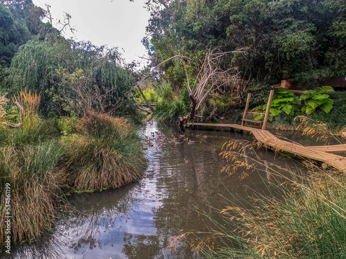 Wetland