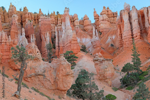 Orange hoodoos and forest in Bryce Canyon at sunset, USA 