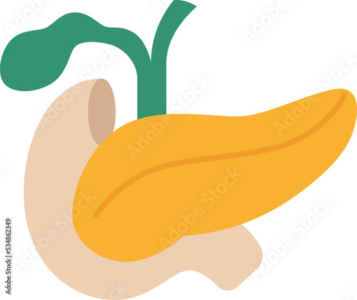 pancreas icon