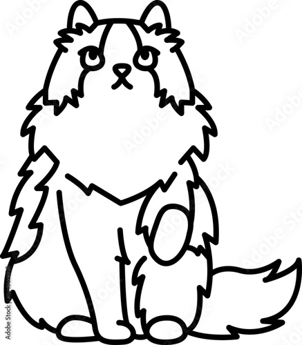 ragdoll icon
