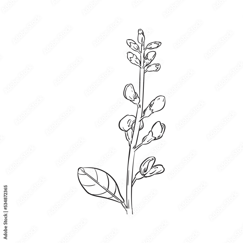 Flower icon design in hand drawn style Flower icon design in hand drawn style