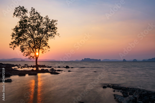 Silhouette tree with motion wave against sunset, Krabi