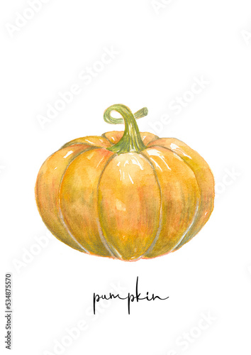 Pumpkin watercolor illustration, food and vegetables design element