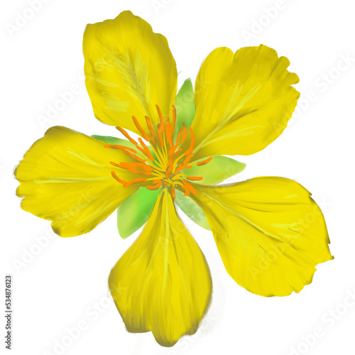yellow flower mikkymouse