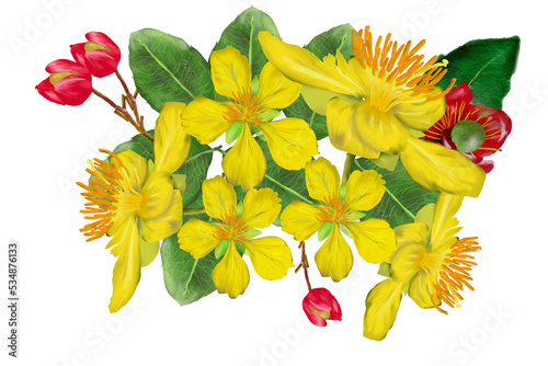 yellow flower mikkymouse