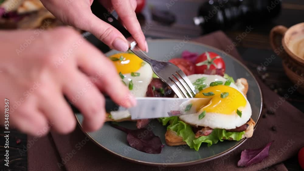 Toasts with fried bacon and eggs with salad and tomatoes on a plate Toasts with fried bacon and eggs with salad and tomatoes on a plate