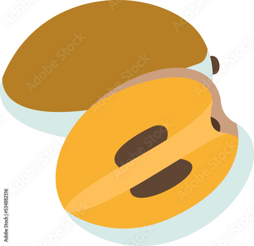 sapodilla icon