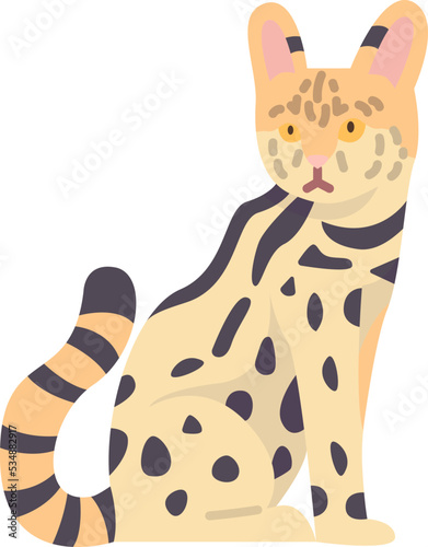 savannah icon
