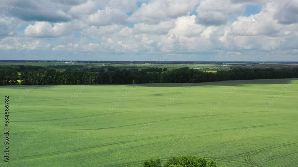 Aerial video of drone flight over agricultural fields of rapeseed and wheat. Aerial video of drone flight over agricultural fields of rapeseed and wheat.