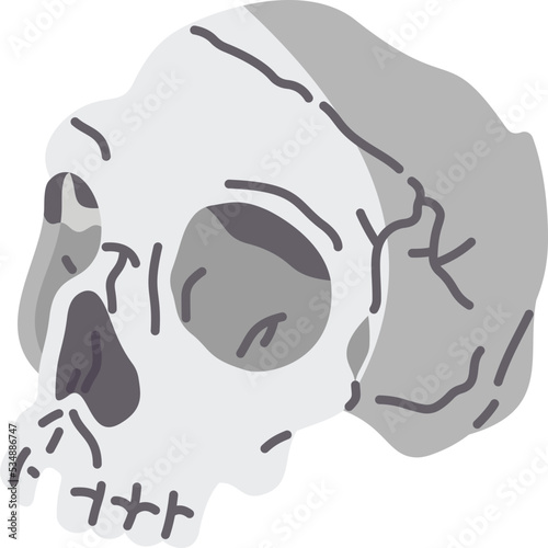 skull icon
