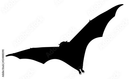 Silhouette of the Flying Fox or Bat for Icon  Symbol  Pictogram  Art Illustration  Logo  Website  or Graphic Design Element. Format PNG